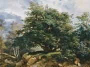 Jules Coignet, The Old Oak in the Forest of Fontainebleau